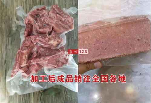 廊坊霸州男子曝光黑作坊 都是过期变质的牛羊肉,销往全国各地