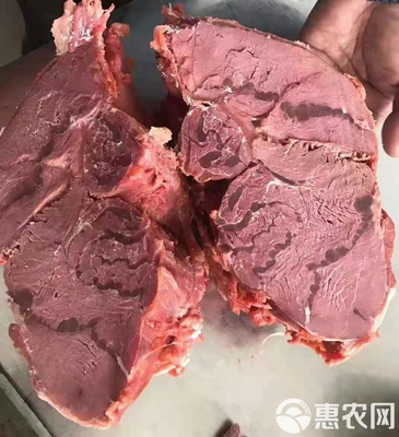 牛肉类 牛羊肉,牛羊肉副产品批发牛龟腱子肉