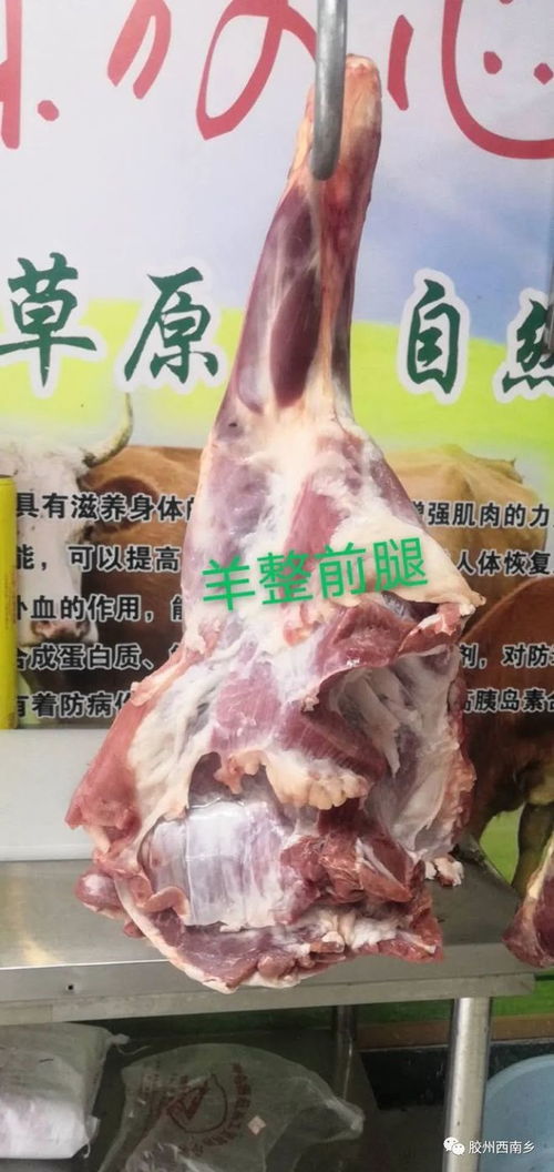 胶州生鲜牛羊肉批发 一斤也批发